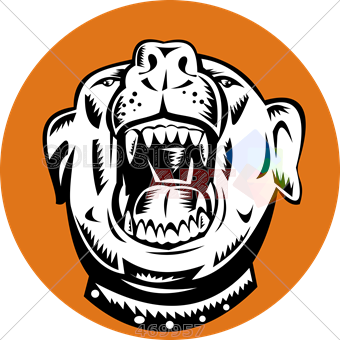 340x340 Stock Illustration Of Cartoon Drawing Of Angry Pitbull Head Inside