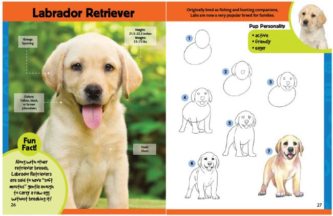 650x423 Paws And Effect Learn To Draw Dogs And Puppies