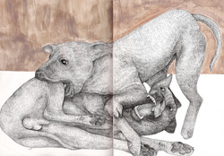 250x174 Fighting Dogs, Dog Fights, Pit Bulls Micro Pen Drawing By