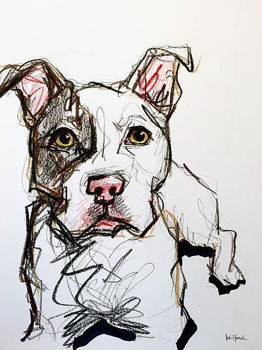 371x495 Pitbull Sketch Marker, Pen, Pencil, Colored Pencil And Highlighter