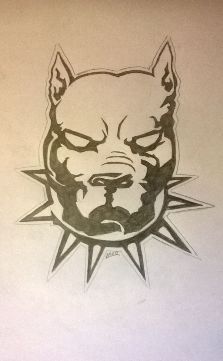 736x1190 28 Best Pitts Images On Pit Bull, Pit Bulls And Pencil