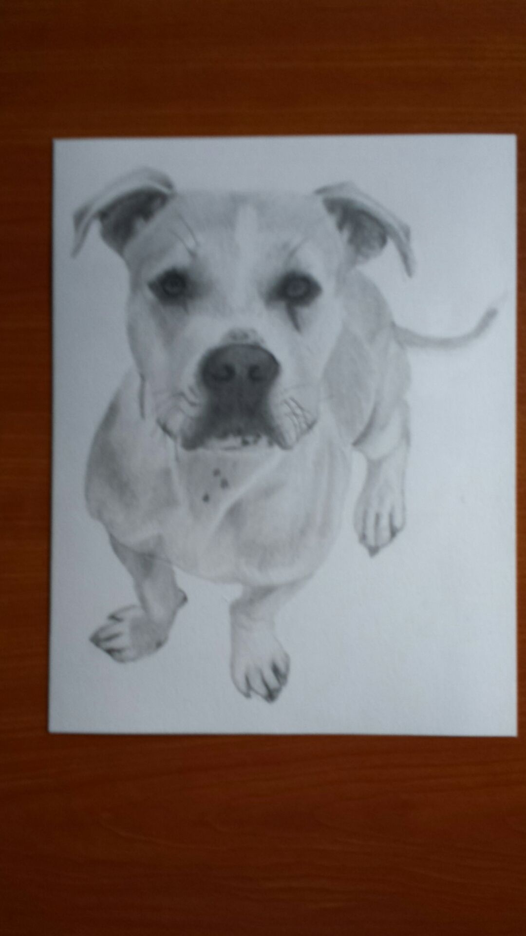 1080x1920 Babygirl 2b Graphite Pencil