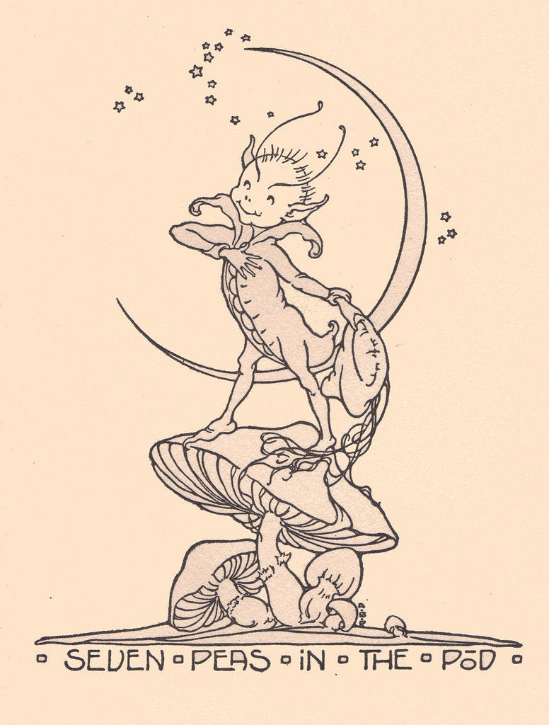 776x1024 Central Pixie Line Drawing By Alice Preston Peas