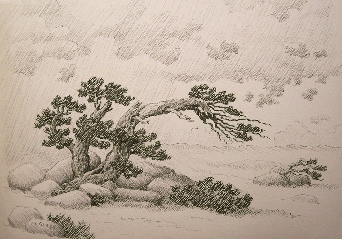 1440x1008 Emerson Everett Glass