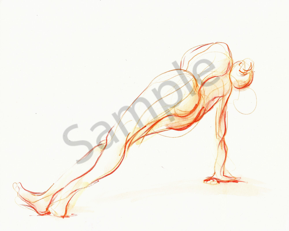 1000x799 Plank Yoga Pose Drawing In Orange
