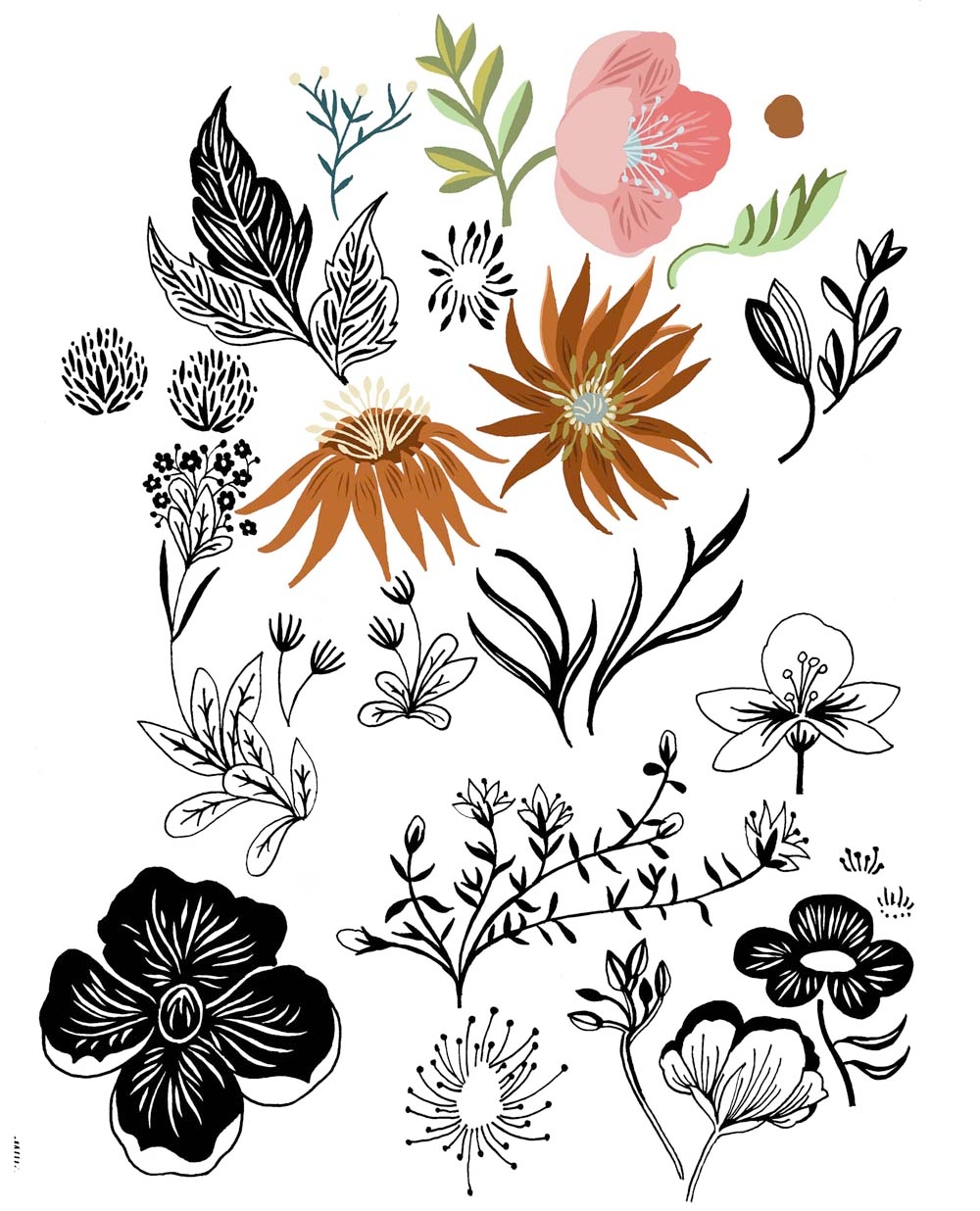 1000x1236 27 Tips For Drawing Flowers And Plants