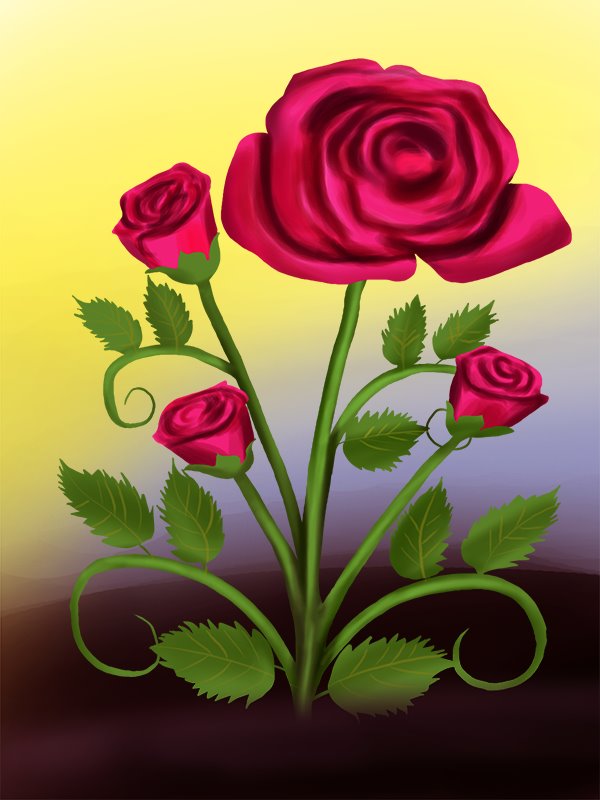 600x800 Learn How To Draw A Rose Plant (Rose) Step By Step Drawing Tutorials