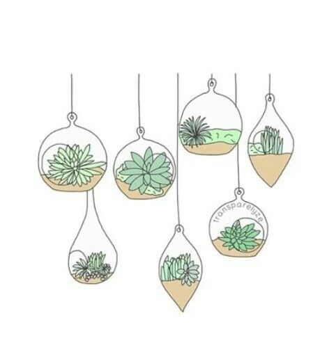 482x493 Drawing, Not Mine, Plant, Plants, Png