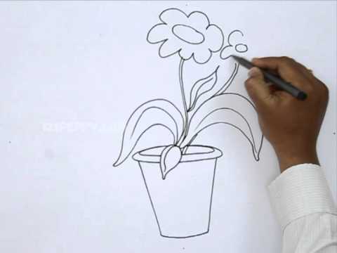 480x360 How To Draw A Flower Pot