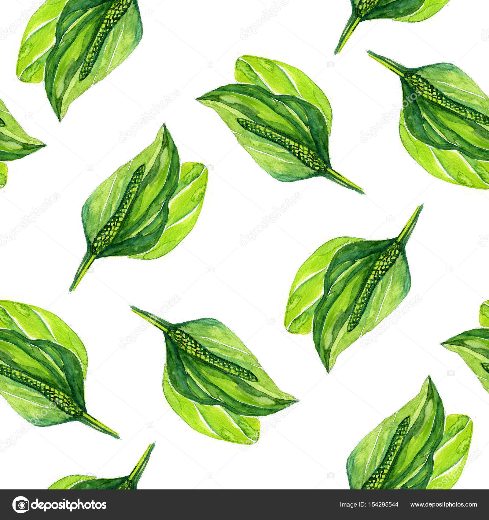 1600x1700 Hand Drawn Watercolor Botanical Illustration Of The Plantain Plant