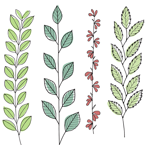 500x500 Your Plants To Learn Them