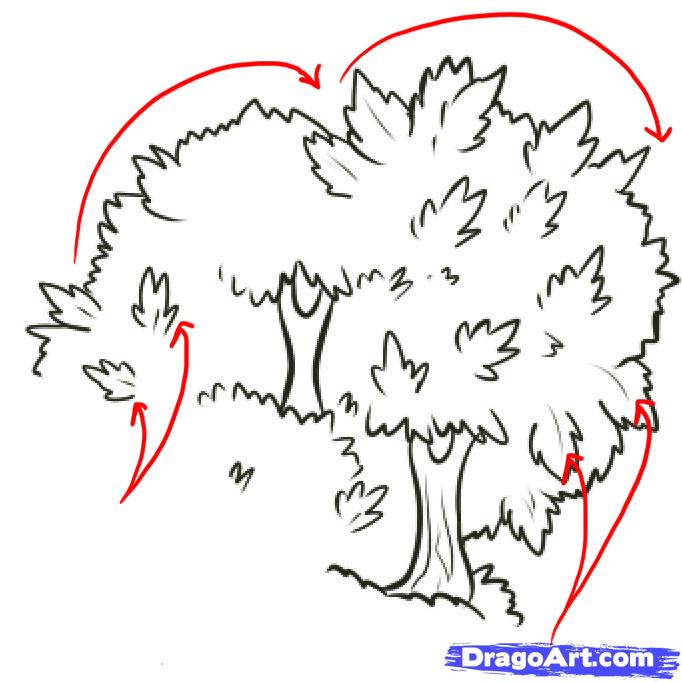 682x682 How To Draw Branches Step 1 1 000000044775 5.jpg How