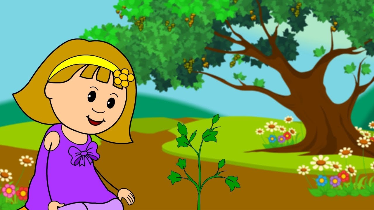 1280x720 Plant A Tree With Elly