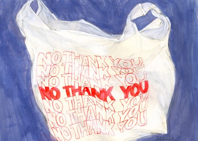 400x286 Panama Ban Plastic Bags