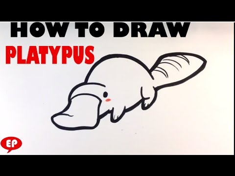 480x360 How To Draw A Platypus (Cute)