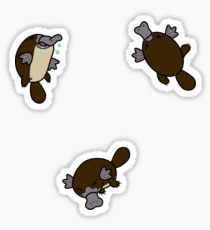 210x230 Platypus Drawing Gifts Amp Merchandise Redbubble