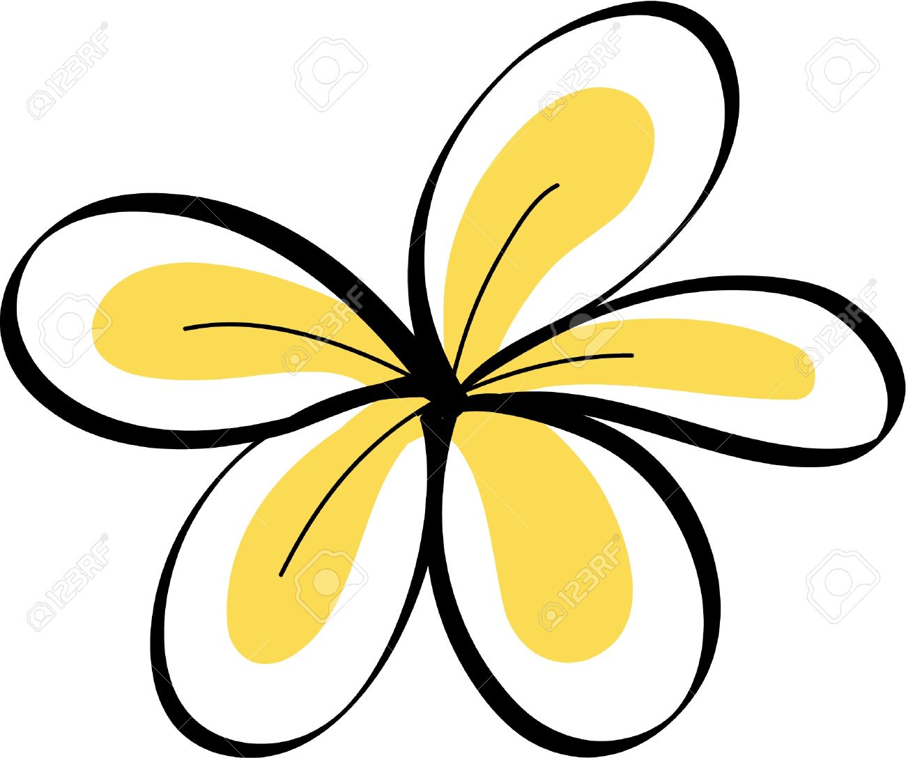 1300x1087 Drawing Tropical Plumeria Flowers Vector Royalty Free Cliparts