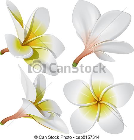 450x470 Eps Vector Of Hawaiian Necklace Flowers