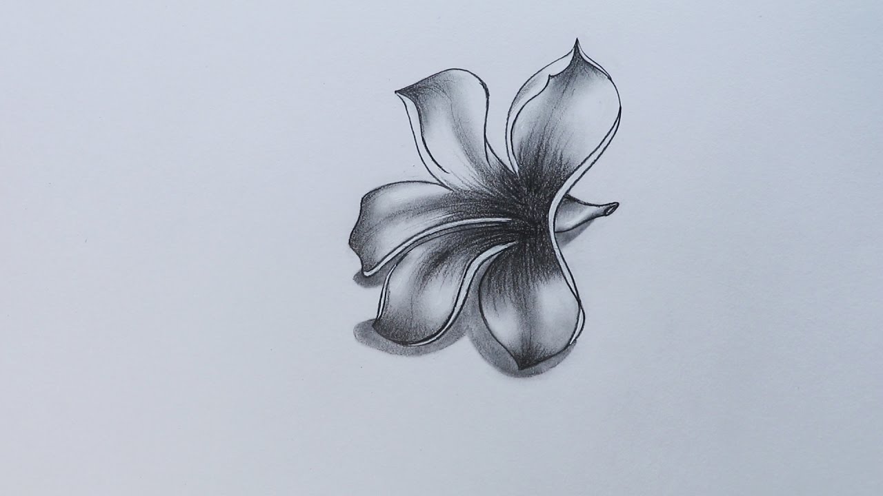 1280x720 How To Sketch Plumeria