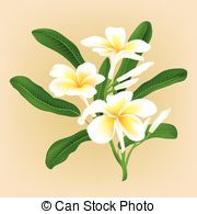 180x195 Plumeria Flower Drawing. Eps Vector