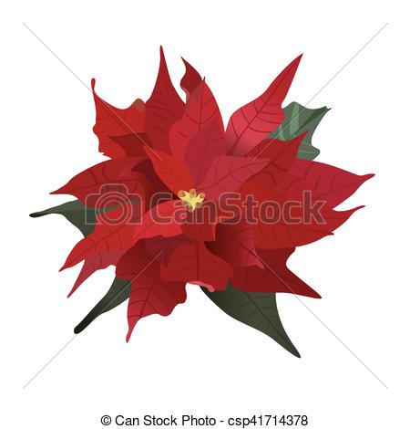 450x470 Poinsettia, Christmas Flower, Vector Illustration Vectors