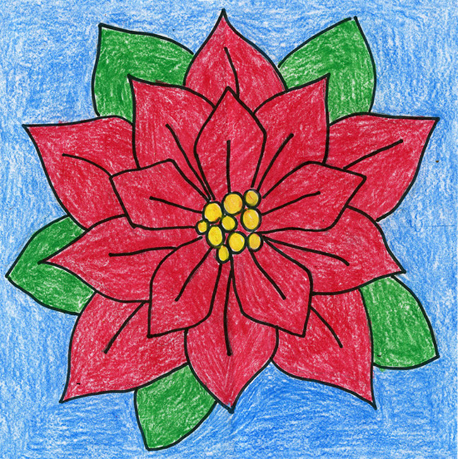 648x650 Poinsettia Drawing For The Holidays