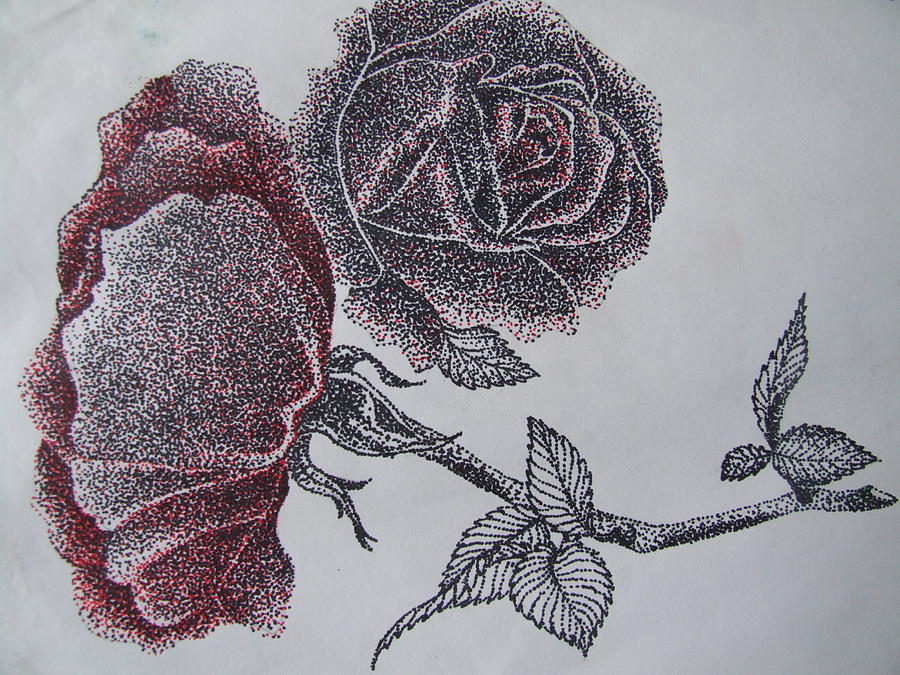 900x675 Pointillism Drawing By Darrel Roddenberry