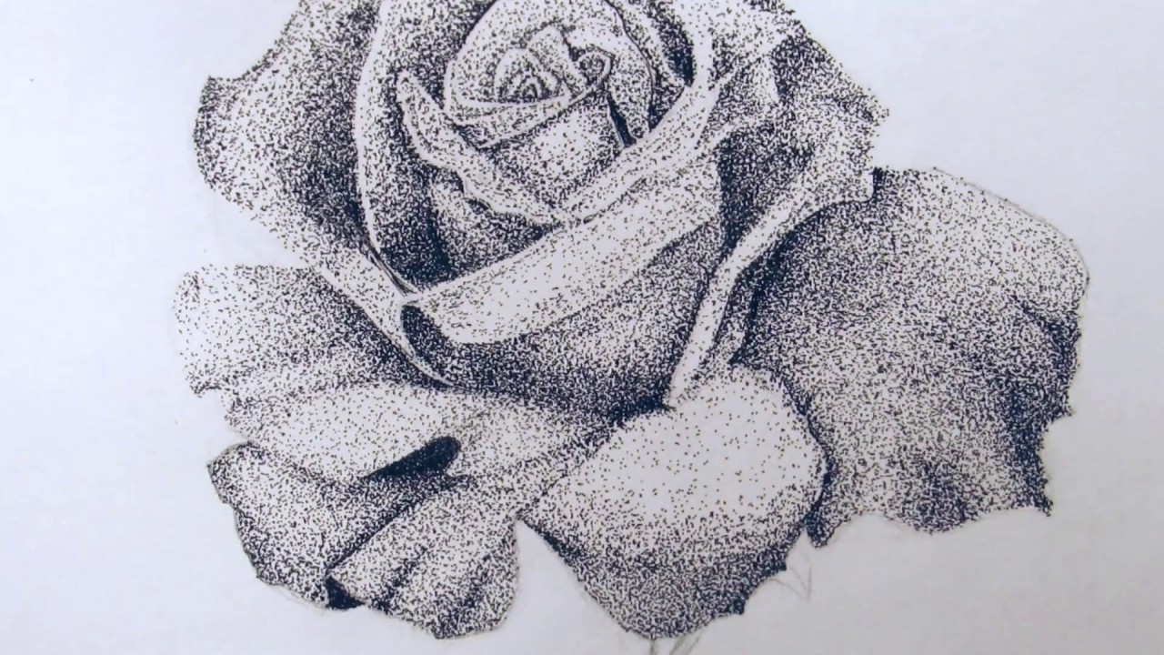 1280x720 Rose Drawing (Pointillism)
