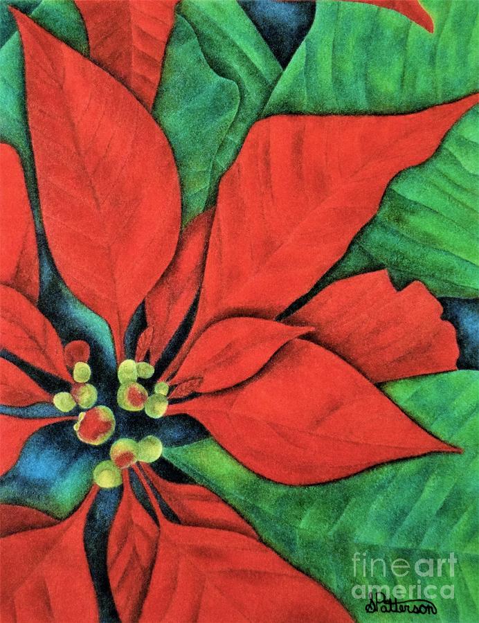 692x900 Pointsettias Drawing By Sharon Patterson
