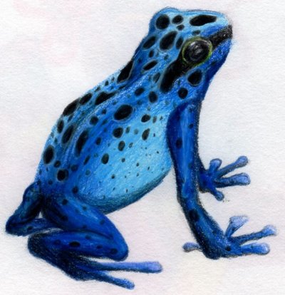 400x414 Poison Dart Frog By Moonstar10