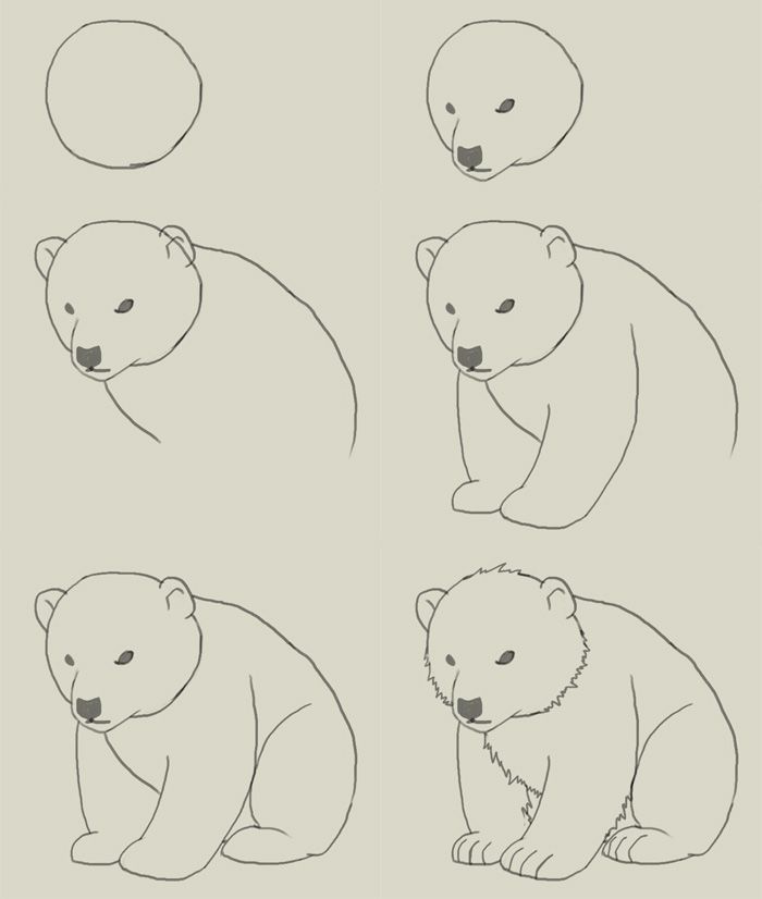 700x826 Pin By Izabela Karbowska On 1 Polar Bear Drawing