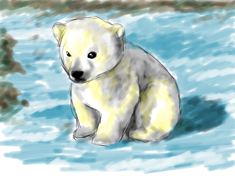 800x600 Polar Bear Cub 3 By Emiiriorochi