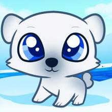 220x220 How To Draw How To Draw A Polar Bear For Kids