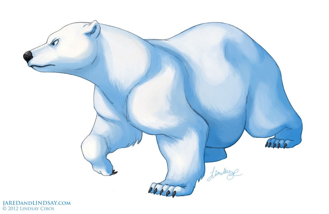 1100x717 Drawing A Polar Bear How To Draw A Polar Bear Last