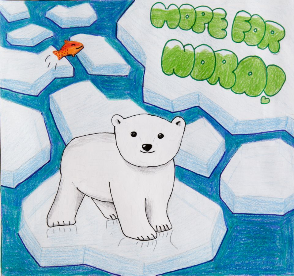 960x904 Drawings Show That Kids Understand Plight Of Polar Bears (Photos