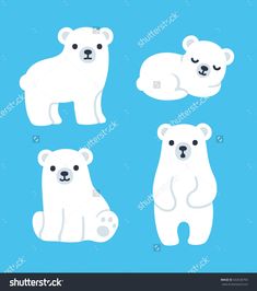 235x266 Polar Bear Drawing Color Book Polar Bear Drawing
