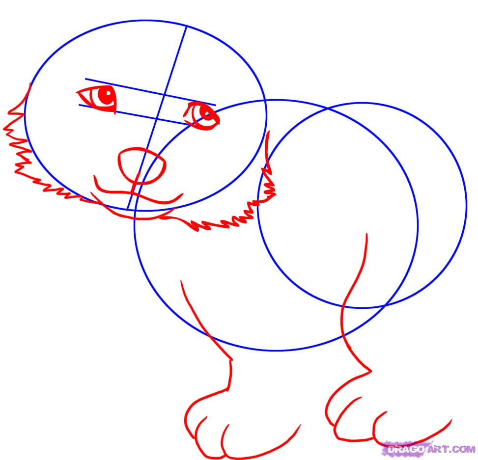 973x937 Polar Bear Drawing Step By Step How To Draw A Cartoon Polar Bear