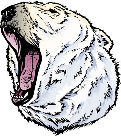 400x451 Polar Bear Dungeons And Dragons Wiki Fandom Powered By Wikia