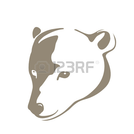 450x450 Polar Bear Head Stock Photos. Royalty Free Business Images