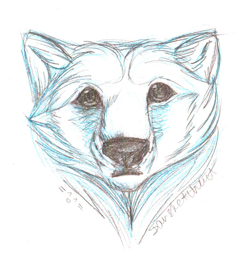 870x918 Polar Bear Head By Iamsketchcat