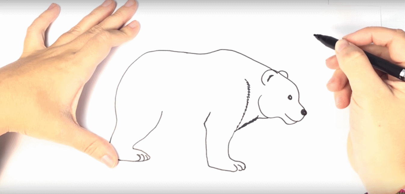 Polar Bears Drawing at GetDrawings | Free download