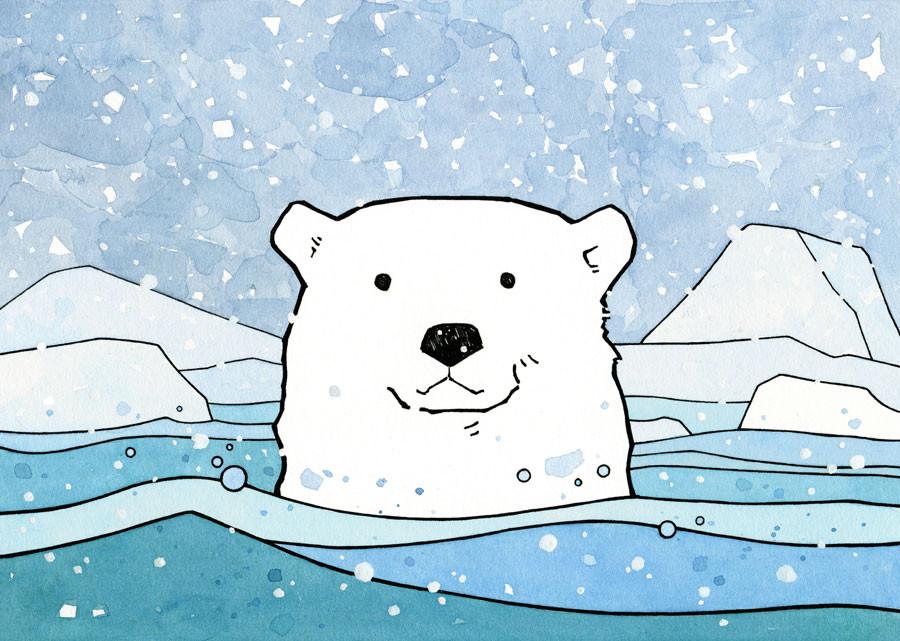 900x641 Illustrated Polar Bear Facts For Kids
