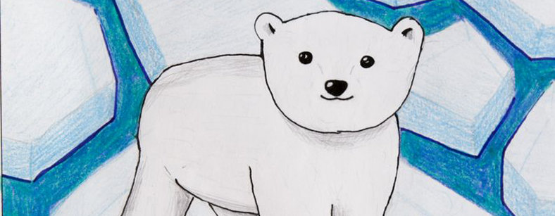 788x307 The Loneliest Polar Bear