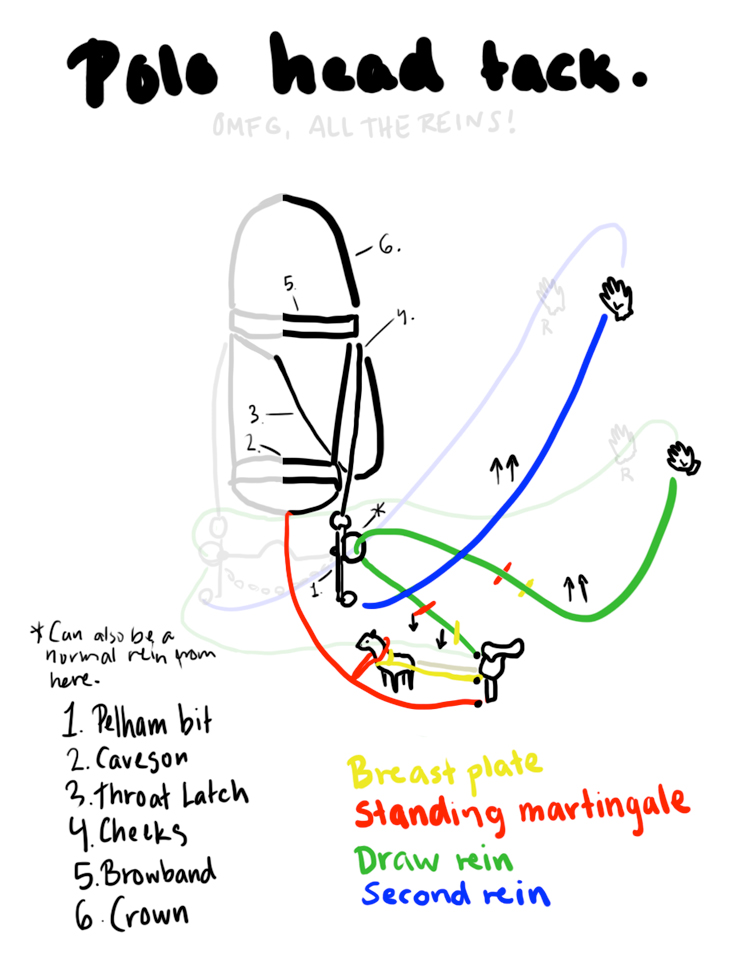 743x955 Pelham Bit Polo Bridle Tack Drawing Reference By Ackerley