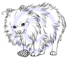 234x200 Pencil Drawings Pomeranian Dog Pencil Drawing Art Print Signed
