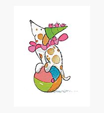 210x230 Pom Poms Drawing Photographic Prints Redbubble