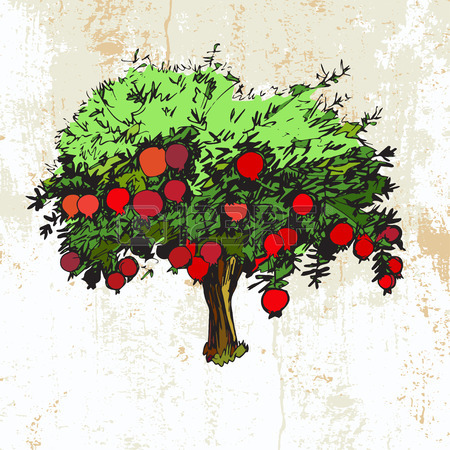 450x450 745 Pomegranate Tree Stock Illustrations, Cliparts And Royalty