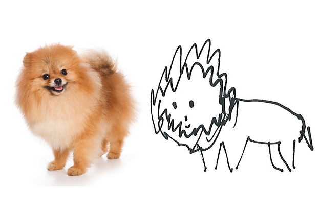 625x415 I Asked All Of My Coworkers To Draw Me A Pomeranian, And Here'S