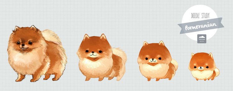 750x294 Pomeranian Illustration Cute Amp Chibi Illustrations