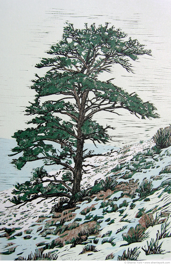 575x890 Sherrie York Art